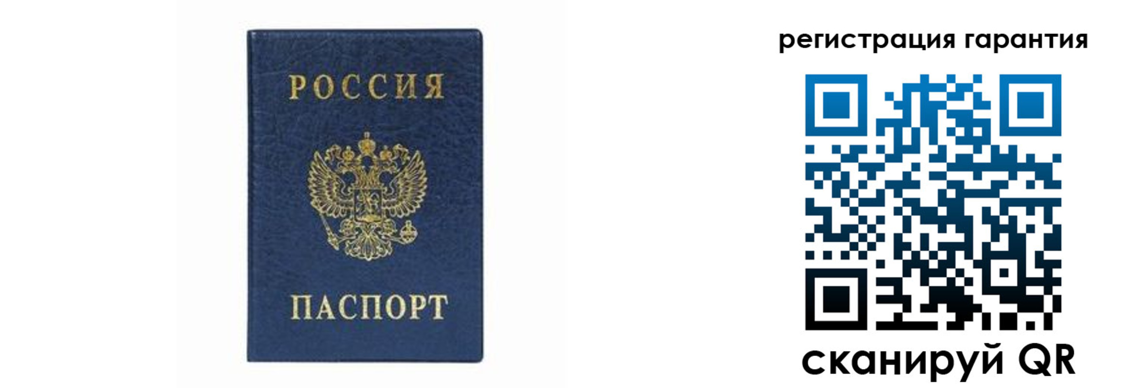 прописка регистрация в Смоленской области
